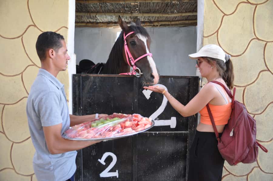 Hurghada: Horse Ride, BBQ Dinner, and Stargazing - What the $41 price really covers