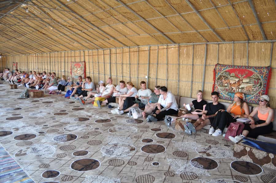 Hurghada: Horse Ride, BBQ Dinner, and Stargazing - Practical tips for a smoother evening