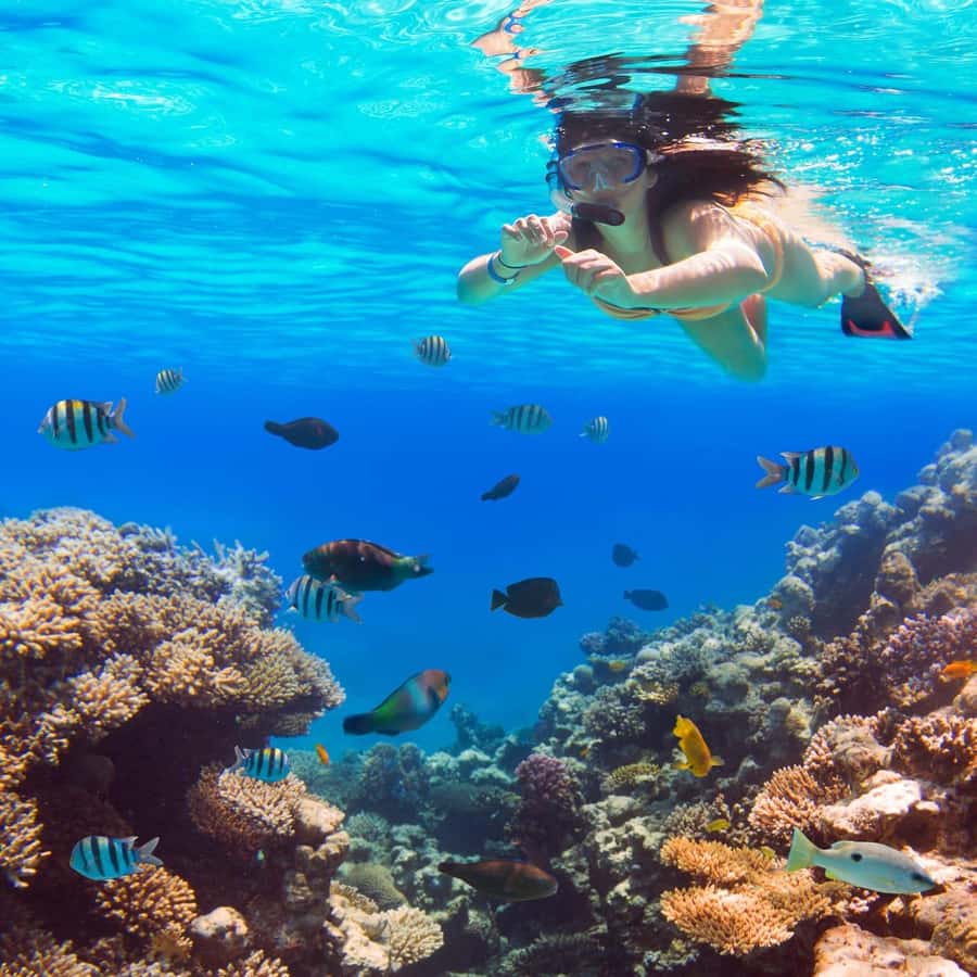 Hurghada: Luxury Giftun island w/snorkeling/lunch & Massage - Who Will Get the Most From This Day