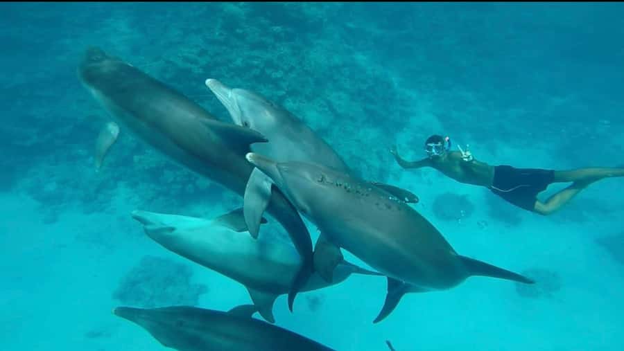 Hurghada: Luxury Yacht Trip with Personal Crew and Chef - Families, first-timers, and accessibility