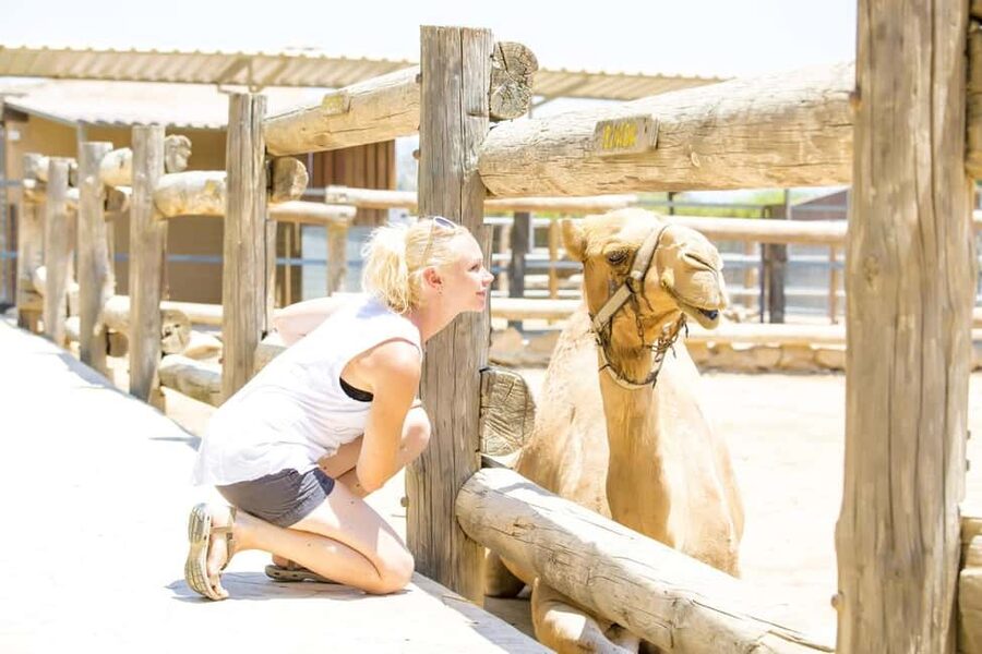 Hurghada: Mega Jeep safari, ATV & Bedouin vibe, and Dinner - The Bedouin camp and tea stop