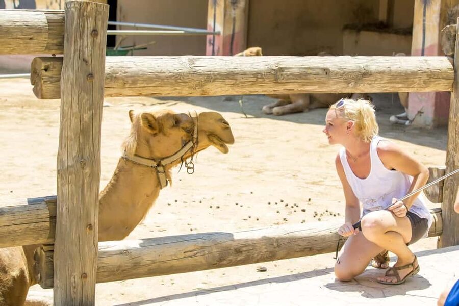Hurghada: Mega Jeep safari, ATV & Bedouin vibe, and Dinner - How to get more from the experience