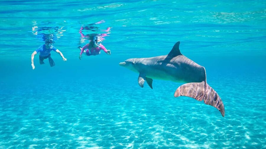 Hurghada or Makadi: Discover the Magic of Dolphin House - A boat day with room for fun