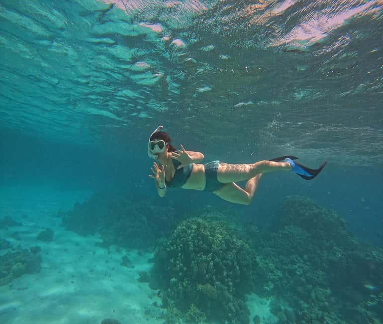 Hurghada or Makadi: Discover the Magic of Dolphin House - Lunch, drinks, and the practical value of $27