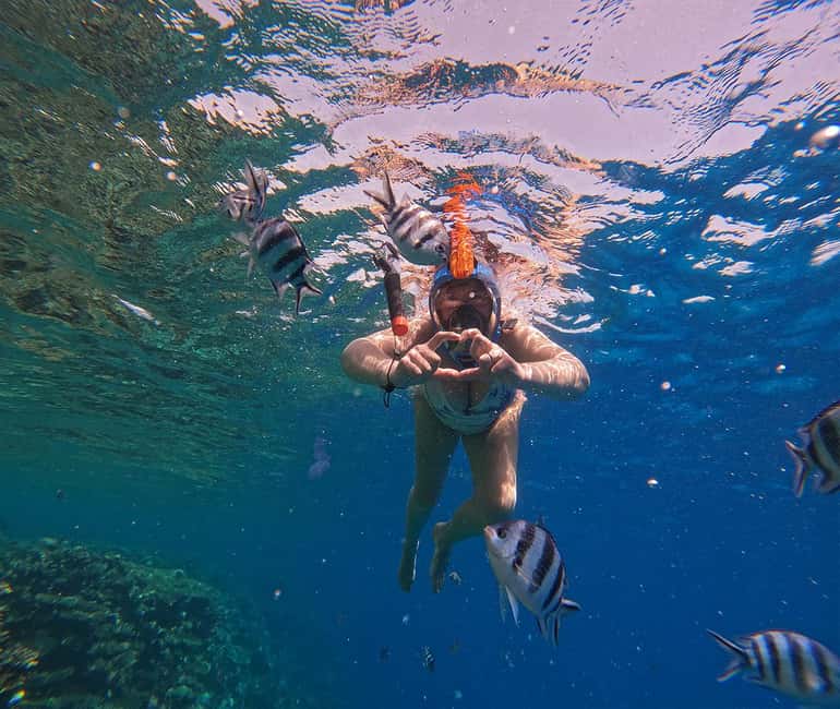 Hurghada or Makadi: Discover the Magic of Dolphin House - Pickup, timing, and what the day feels like
