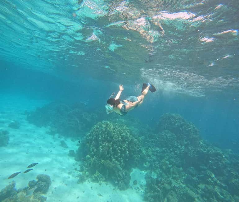Hurghada or Makadi: Discover the Magic of Dolphin House - Who will enjoy this trip most