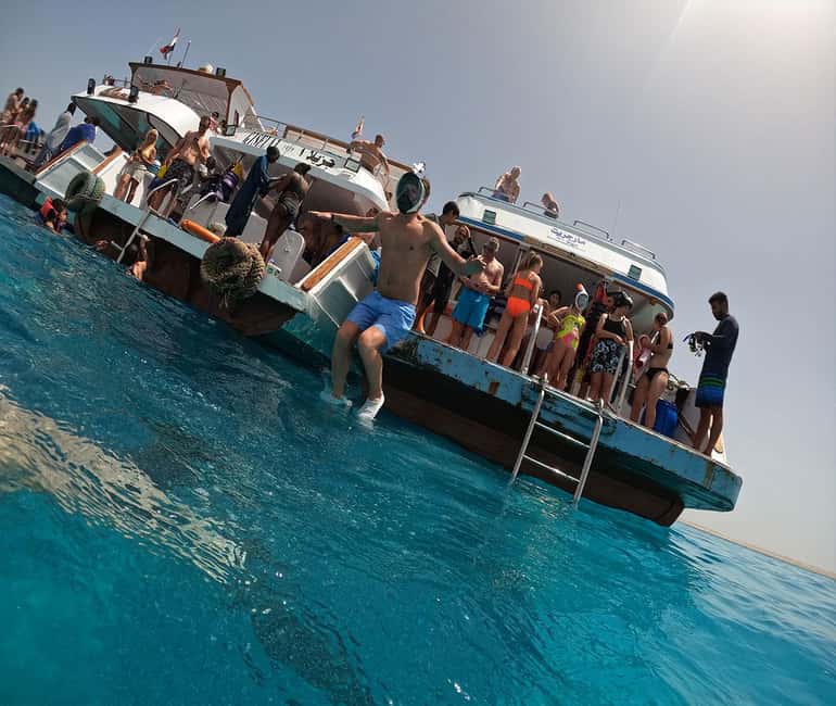 Hurghada or Makadi: Discover the Magic of Dolphin House - FLY NEMO TOURS and the crew