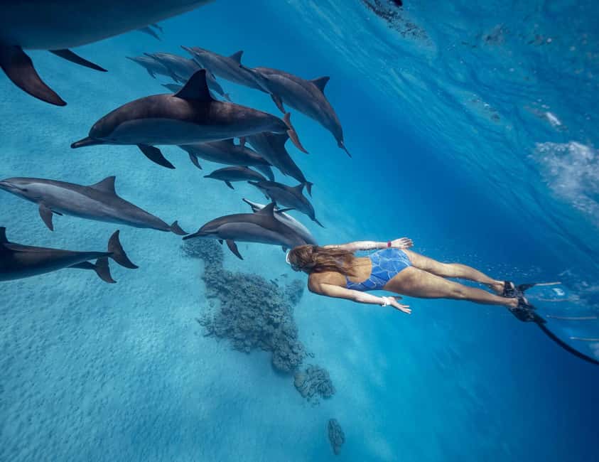 Hurghada or Makadi: Discover the Magic of Dolphin House - Two Red Sea snorkeling stops