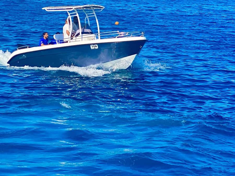 Hurghada: Orange Bay Dolphin Watching, Snorkeling & Lunch - Who will enjoy this trip most?