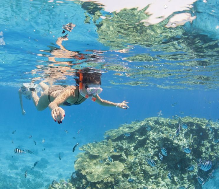 Hurghada: Orange Bay & Giftun Island, Snorkeling With Lunch - Which version should you book?