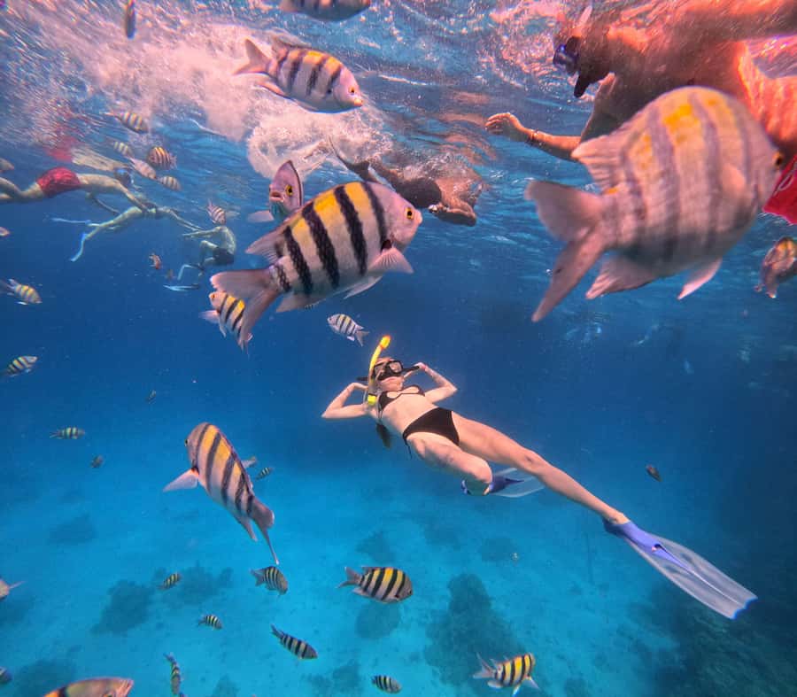 Hurghada: Orange Bay Island Boat Trip w/ Breakfast and Lunch - Safety briefing and two 45-minute snorkeling stops