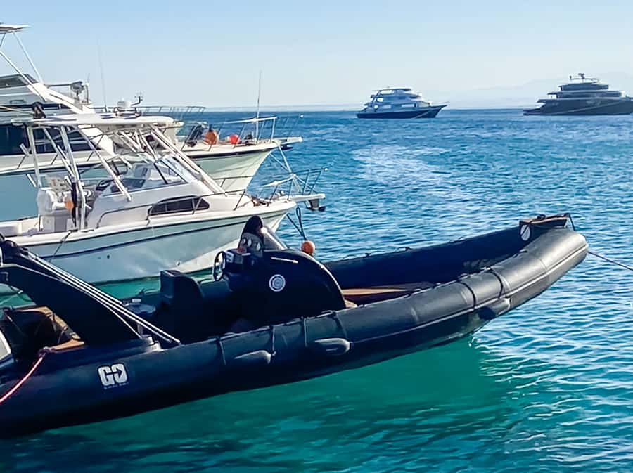 Hurghada: Orange Bay & Magawish Island Speedboat with Lunch - Two reef stops, 20 minutes each