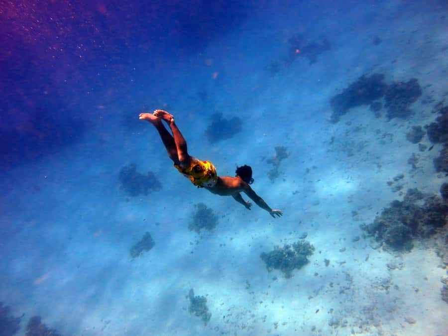 Hurghada: Premium Island Cruise with Lunch and snorkeling - Lunch, Drinks, and the Boat’s Comfort