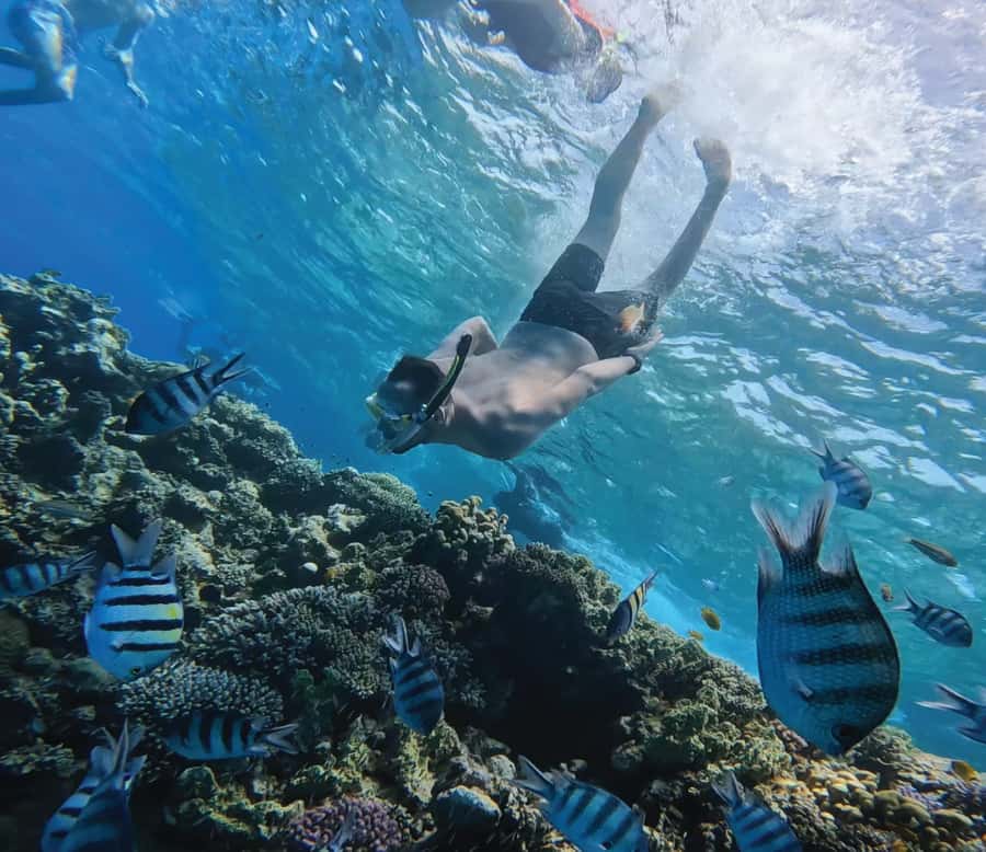 Hurghada: Premium Orange Island Cruise with Lunch & Transfer - The boat ride to Orange Bay