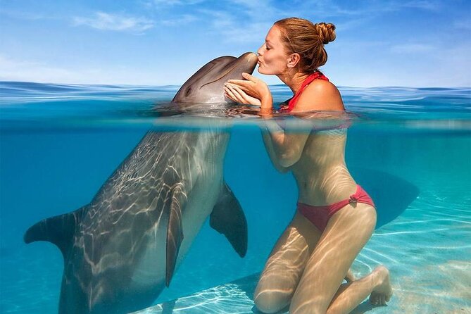 Hurghada: Private 4 Hours Speedboat Dolphin House Snorkling Tour - A private run across Hurghada’s Red Sea