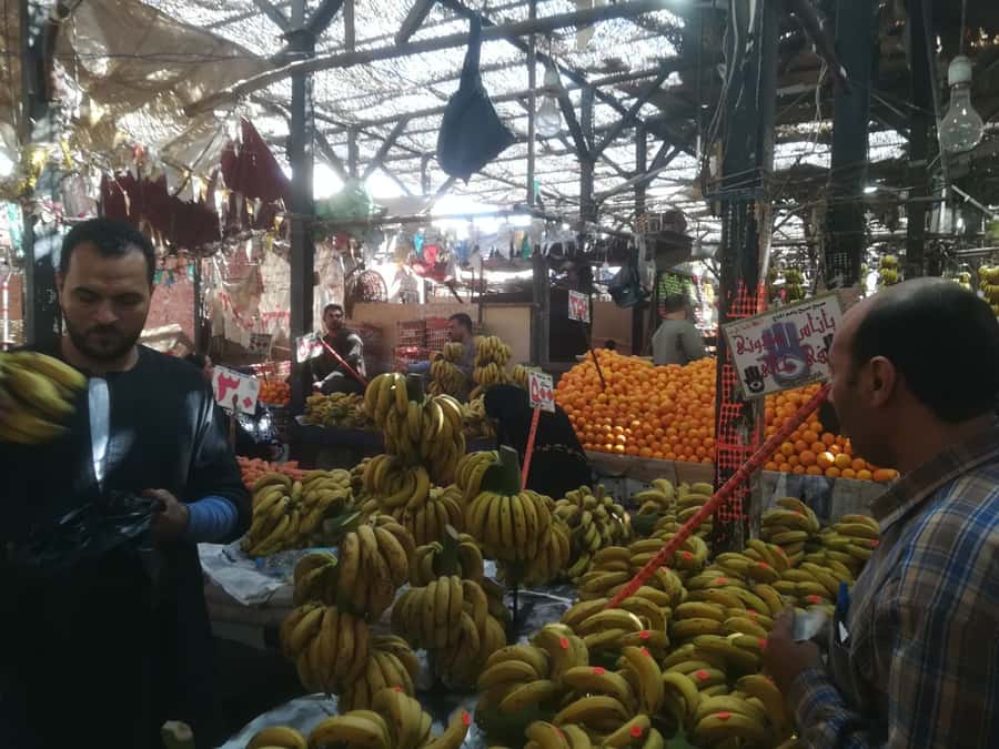 Hurghada: Private Guide City Tour & Shopping Stop - The fish market and Hurghada’s working side