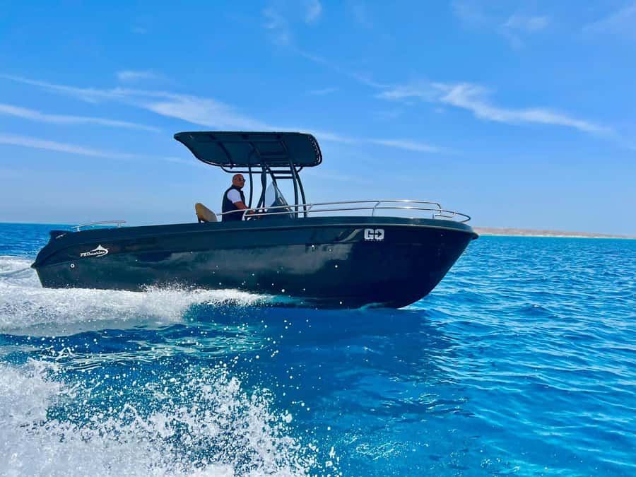 Hurghada: Private Speedboat Adventure with Snacks & Pick-up - Searching for dolphins in their natural habitat