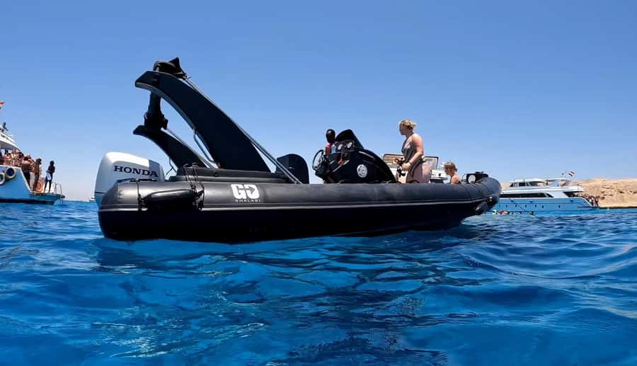 Hurghada: Private Speedboat to Dolphin House with Pickup - How the timing affects your day