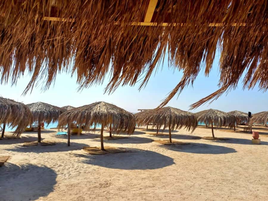 Hurghada: Private Speedboat to Magawish Island - Why Magawish Island works well as a Red Sea day trip