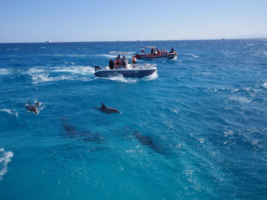 Hurghada: Private Speedboat to Orange Bay and White Island - Nemo Bay, White Island, and changing sandbanks
