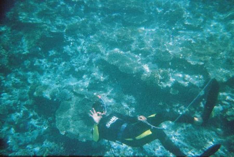 Hurghada, Professionals Diving in Open Water Tour with Lunch - Leaving Hurghada for 40 minutes on the Red Sea