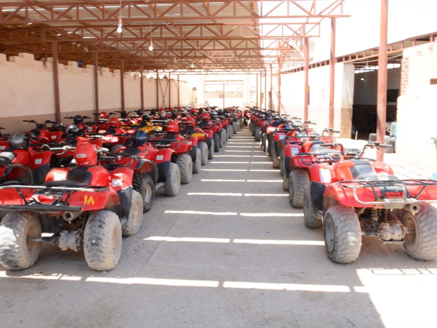 Hurghada Quad & ATV Ride with Camel, Desert Vibes & Sea View - The camel ride is a photo stop, not a trek