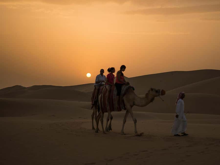 Hurghada: Quad Bike, Camel, Show, Dinner, & Stargazing Trip - Key points before you book