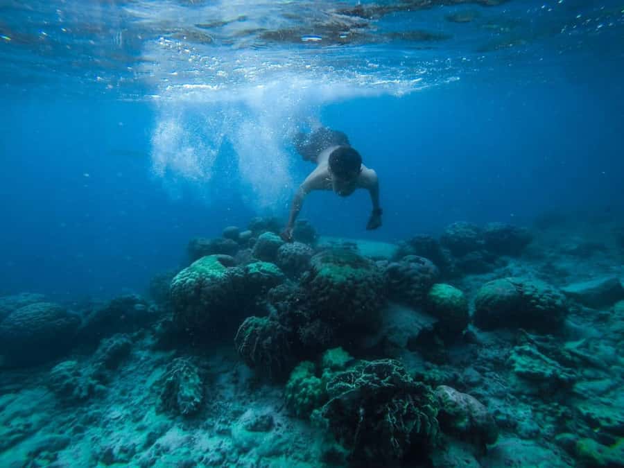 Hurghada: Royal Orange Bay with Massage, Snorkeling & Lunch - Orange Bay: Beautiful, Brief, and Best Early