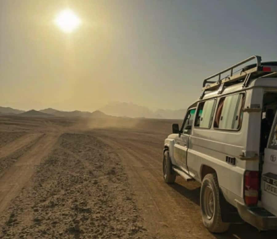 Hurghada: Safari Jeep & Camel Ride with BBQ Dinner & Show - A short camel ride in the desert