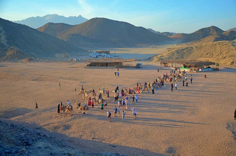 Hurghada: Safari Jeep & Camel Ride with BBQ Dinner & Show - Should you book it?