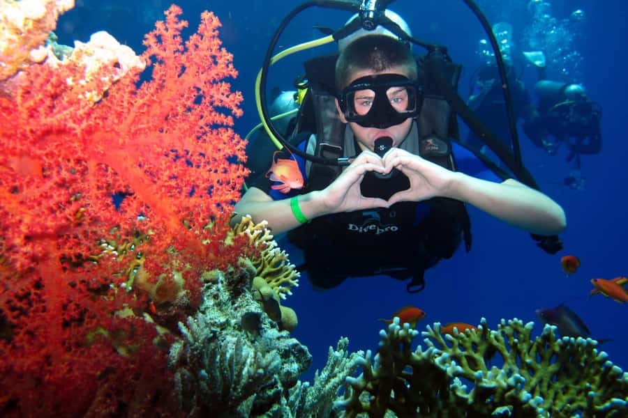 Hurghada: Scuba Diving cruise with lunch & pickup - A six-hour morning on the Red Sea