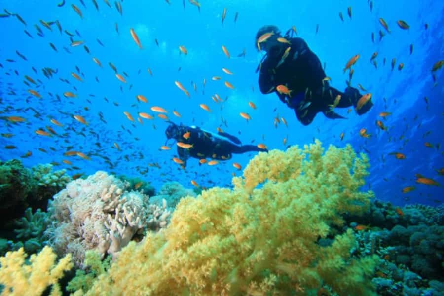 Hurghada: Scuba Diving cruise with lunch & pickup - The surface interval and time on deck