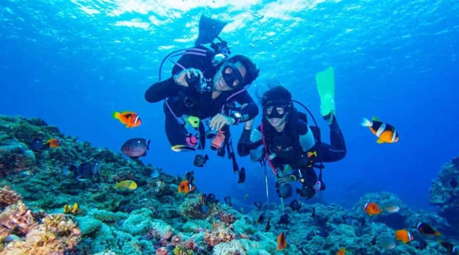 Hurghada: Scuba Diving cruise with lunch & pickup - Abu Ramada and Small Giftun Island