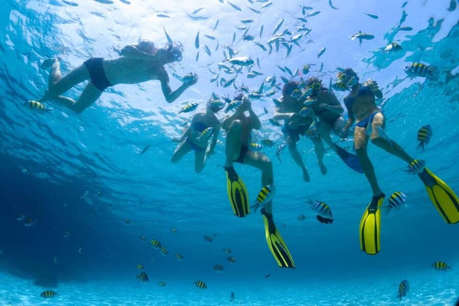 Hurghada: Scuba Diving for Beginners & Certified Divers - The underwater scenery: coral, fish, and realistic expectations