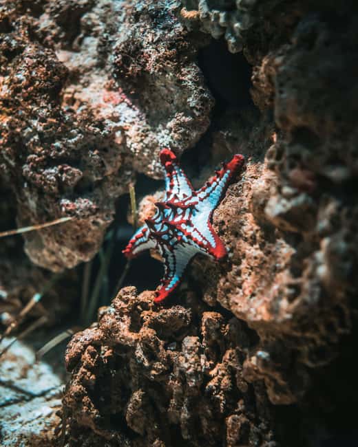 Hurghada: Scuba Diving for Beginners & Certified Divers - Life on the boat between water stops