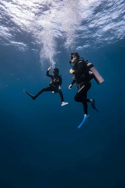 Hurghada: Scuba Diving for Beginners & Certified Divers - Transport from Hurghada and nearby resort areas