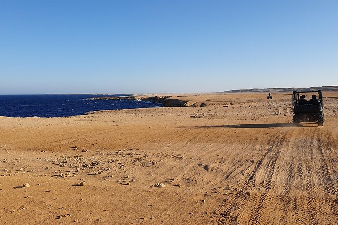 Hurghada: Sea and Mountains ATV Quad Bike Tour - The sunset return and camel ride