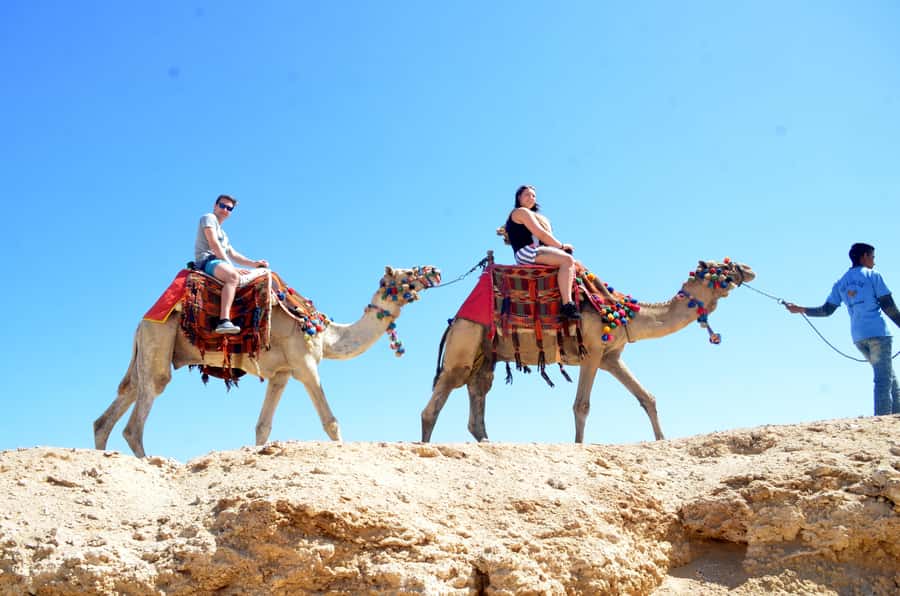 Hurghada: Sea & Desert Camel Ride w/Dinner, Show, Stargazing - Key points to know before you book