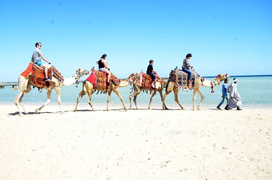 Hurghada: Sea & Desert Camel Ride w/Dinner, Show, Stargazing - Should you book this Hurghada camel ride?