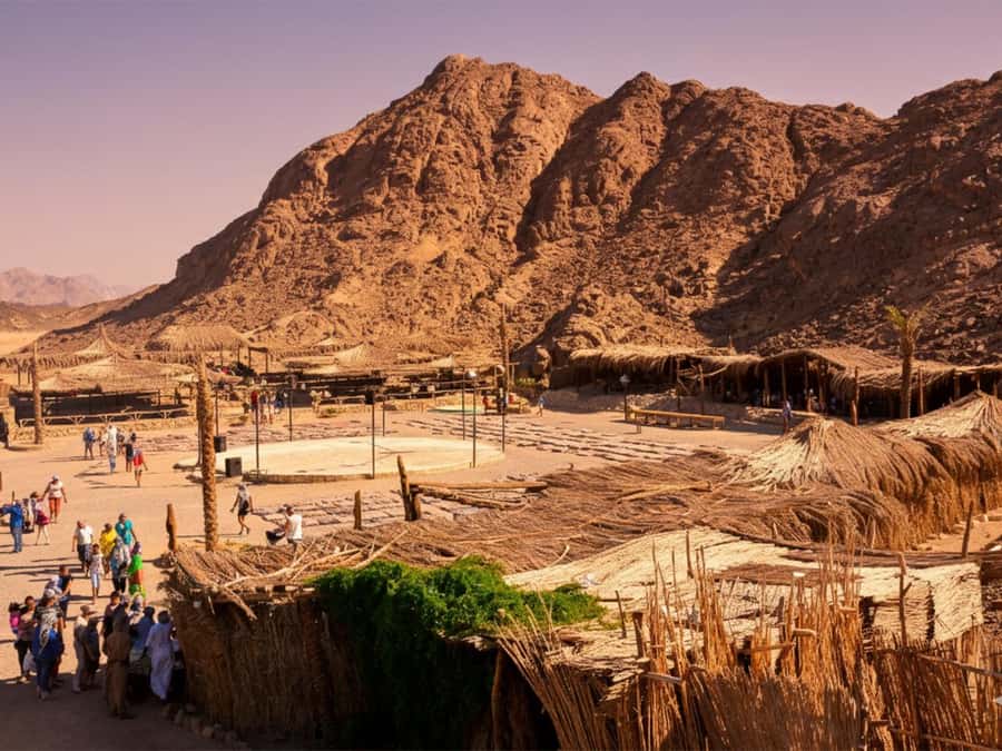 Hurghada: Sea & Desert Camel Ride w/Dinner, Show, Stargazing - Why the guides make a difference
