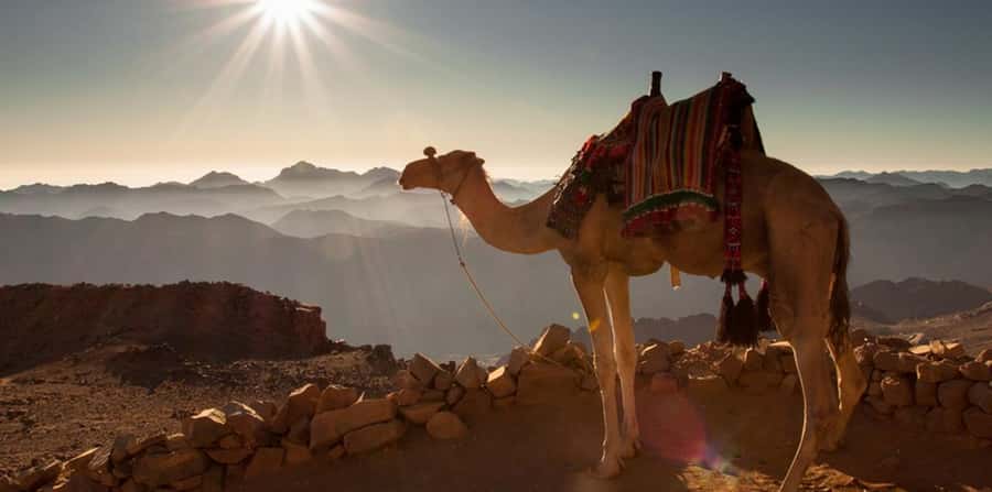 Hurghada: Sea & Desert Camel Ride w/Dinner, Show, Stargazing - What to bring, and what to leave behind