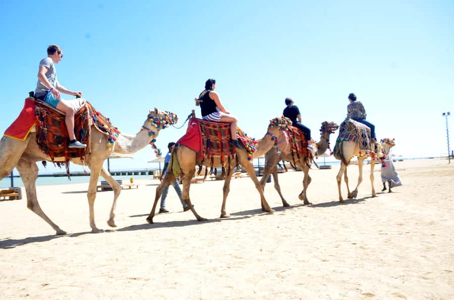 Hurghada: Sea & Desert Camel Ride w/Dinner, Show, Stargazing - Who should choose this camel ride?