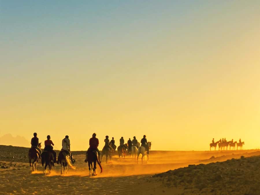 Hurghada: Sea & Desert Horse Tour, Stargazing, Dinner & Show - Key points before you book