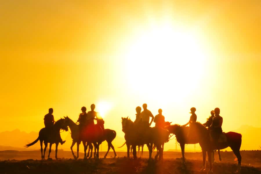 Hurghada: Sea & Desert Horse Tour, Stargazing, Dinner & Show - Is $20 good value?