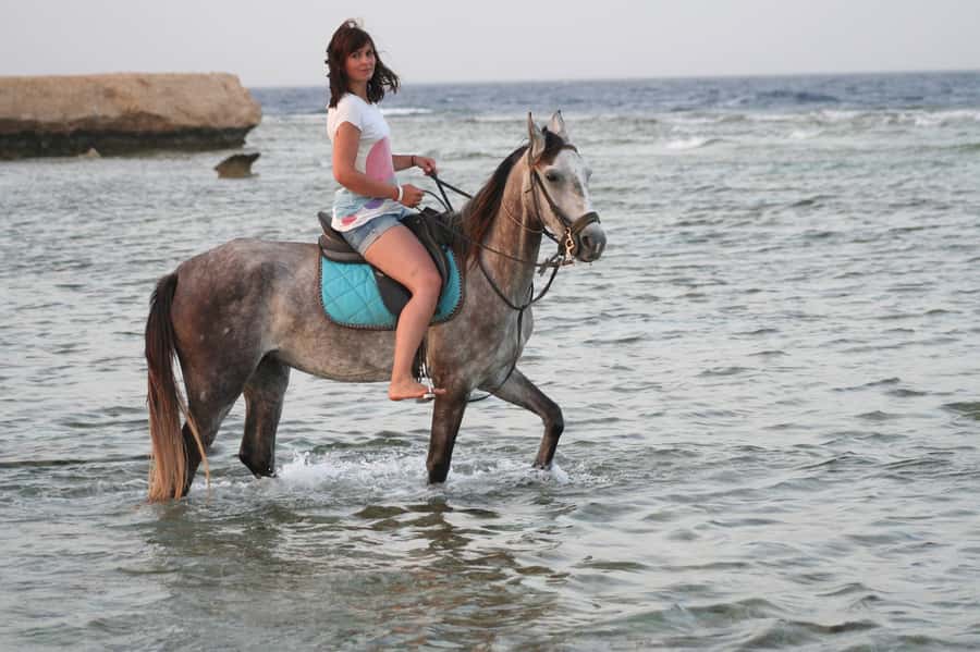 Hurghada: Sea & Desert Horse Tour, Stargazing, Dinner & Show - Sunrise at 5:00 AM and the Oriental breakfast