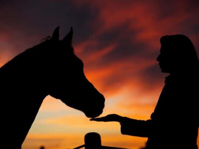 Sea & Desert Horse Tour, Stargazing, Dinner & Show