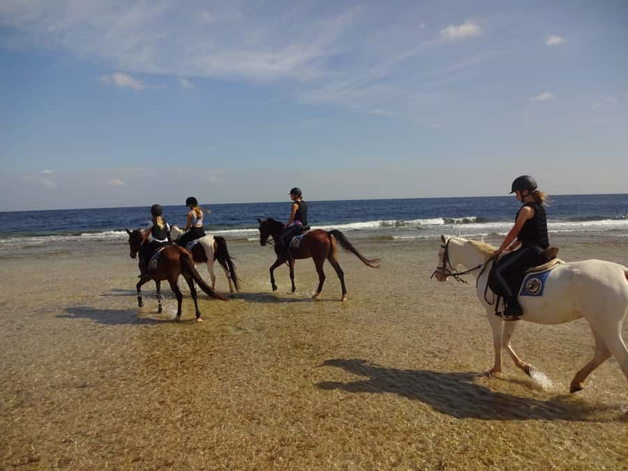 Hurghada: Sea & Desert Horse Tour, Stargazing, Dinner & Show - Sunset dinner, dance show, and telescope time