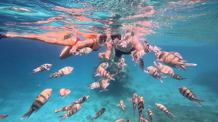 Hurghada: Snorkelling Trip by Speedboat with Hotel Pickup - Who will enjoy this trip most?