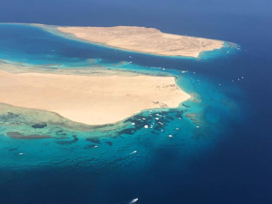 Hurghada: Snorkelling Trip by Speedboat with Hotel Pickup - Dolphins, flying fish, and the limits of wildlife watching