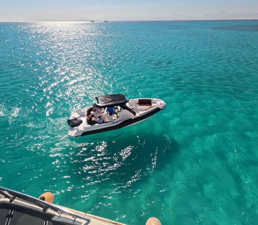 Hurghada: Speedboat Dolphin Watching & Snorkeling with Lunch - Key points to know before you book